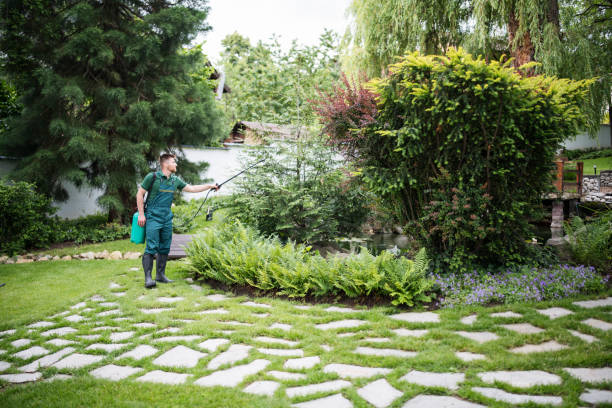 Best Mosquito Control Services  in Bartlett, TN