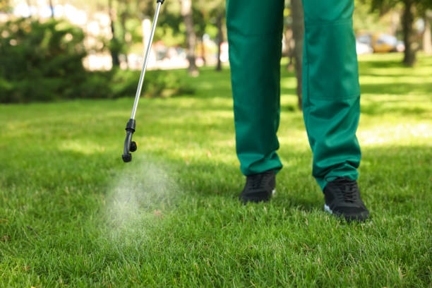 Best Insect Control  in Bartlett, TN