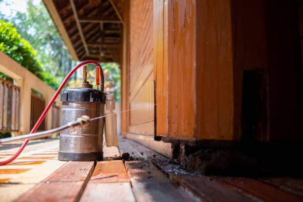 Best Affordable Pest Control Services  in Bartlett, TN