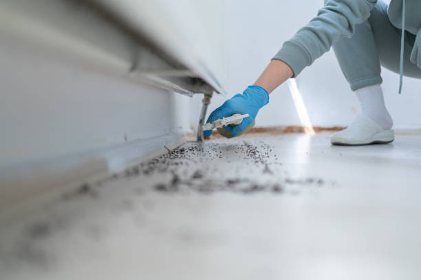 Reliable Bartlett, TN Pest Control Solutions